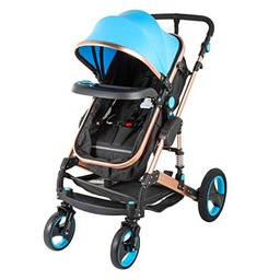 VEVR 2 en 1 Cochecito, 62 x 85 x 101 cm hasta 15 kg 0-36 Meses Portátil Carrito de Bebé Plegable